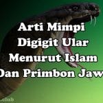 Arti Mimpi Digigit Ular Menurut Islam Dan Primbon Jawa Kuno