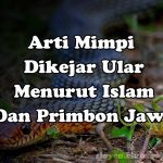 Arti Mimpi Dikejar Ular Menurut Islam Dan Primbon Jawa
