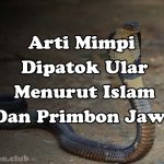 Arti Mimpi Dipatok Ular Menurut Islam Dan Primbon Jawa