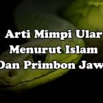Arti Mimpi Ular Menurut Islam Dan Primbon Jawa