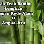 Erek Erek Bambu Lengkap Dengan Kode Alam Dan Angka Jitu