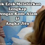 Erek Erek Melahirkan Lengkap Dengan Kode Alam Dan Angka Jitu